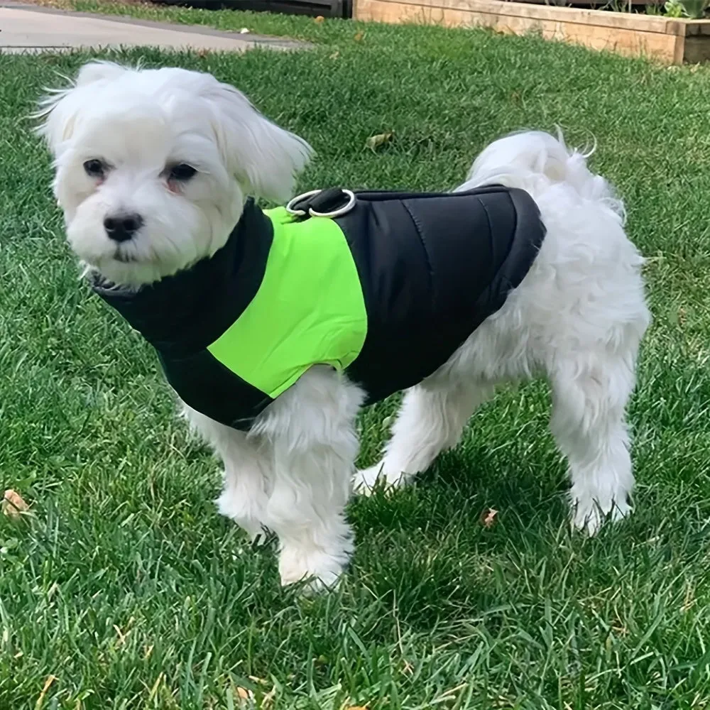 Cozy Dog Winter Vest with Back Zipper  1PC