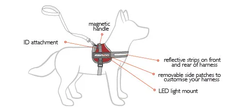 EzyDog Convert Harness - Extra Large